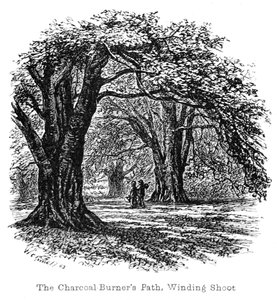 The Charcoal Burners Path av Walter Crane